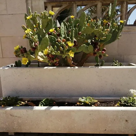 Сasa de vacaciones Trullo Paesano